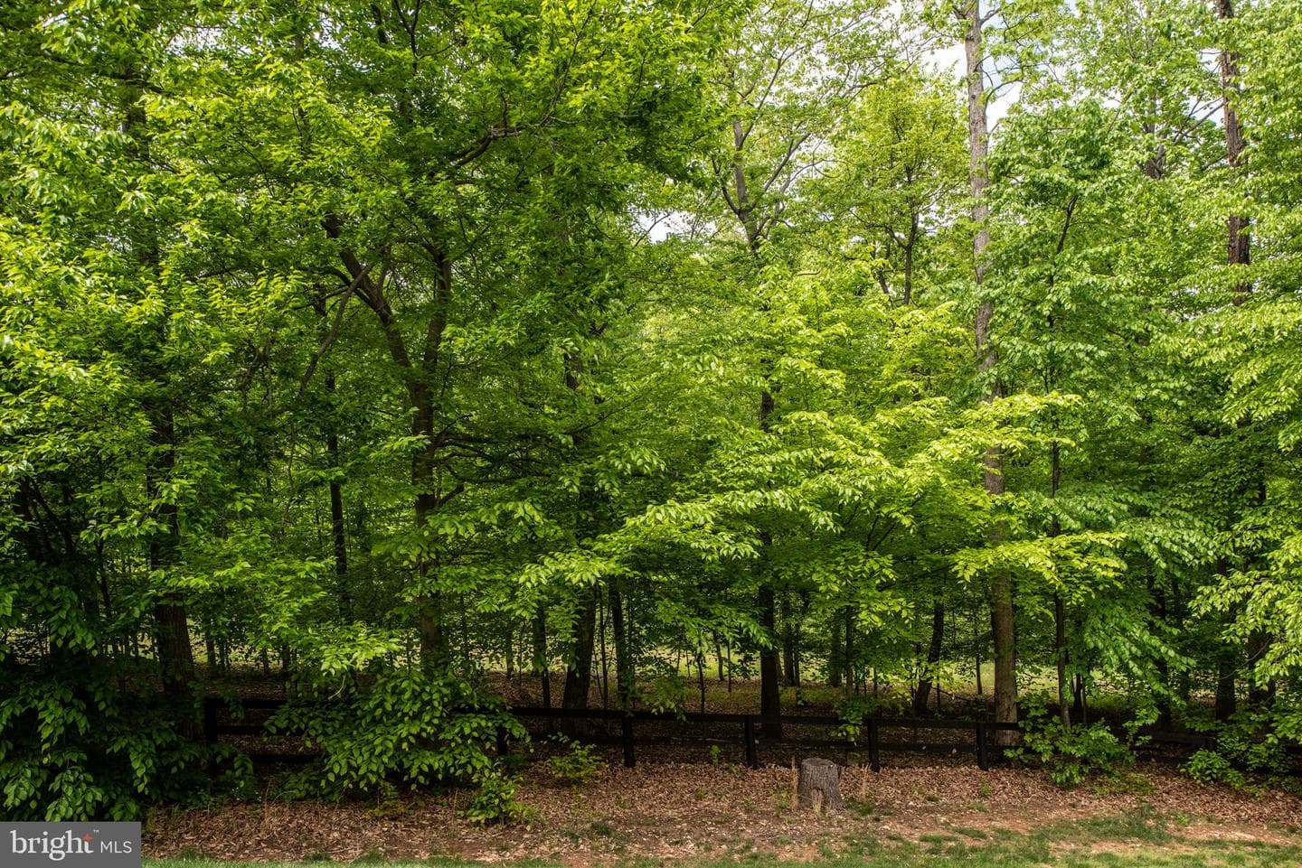 41650 Wakehurst Place photo 73