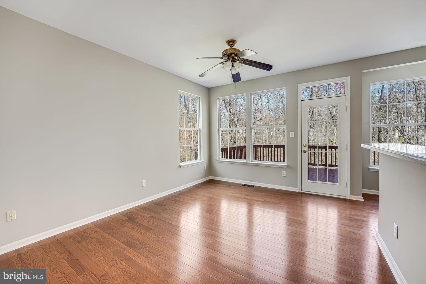 21524 Iredell Terrace photo 16