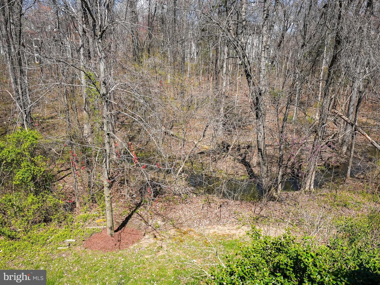 21524 Iredell Terrace photo 50