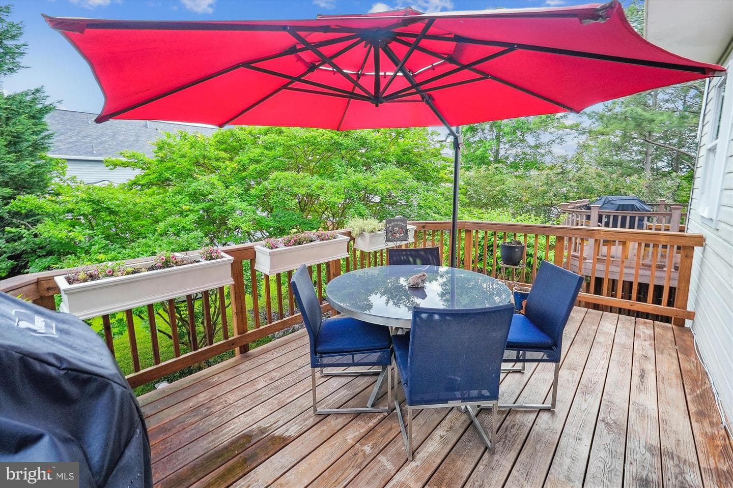 20870 Butterwood Falls Terrace photo 28