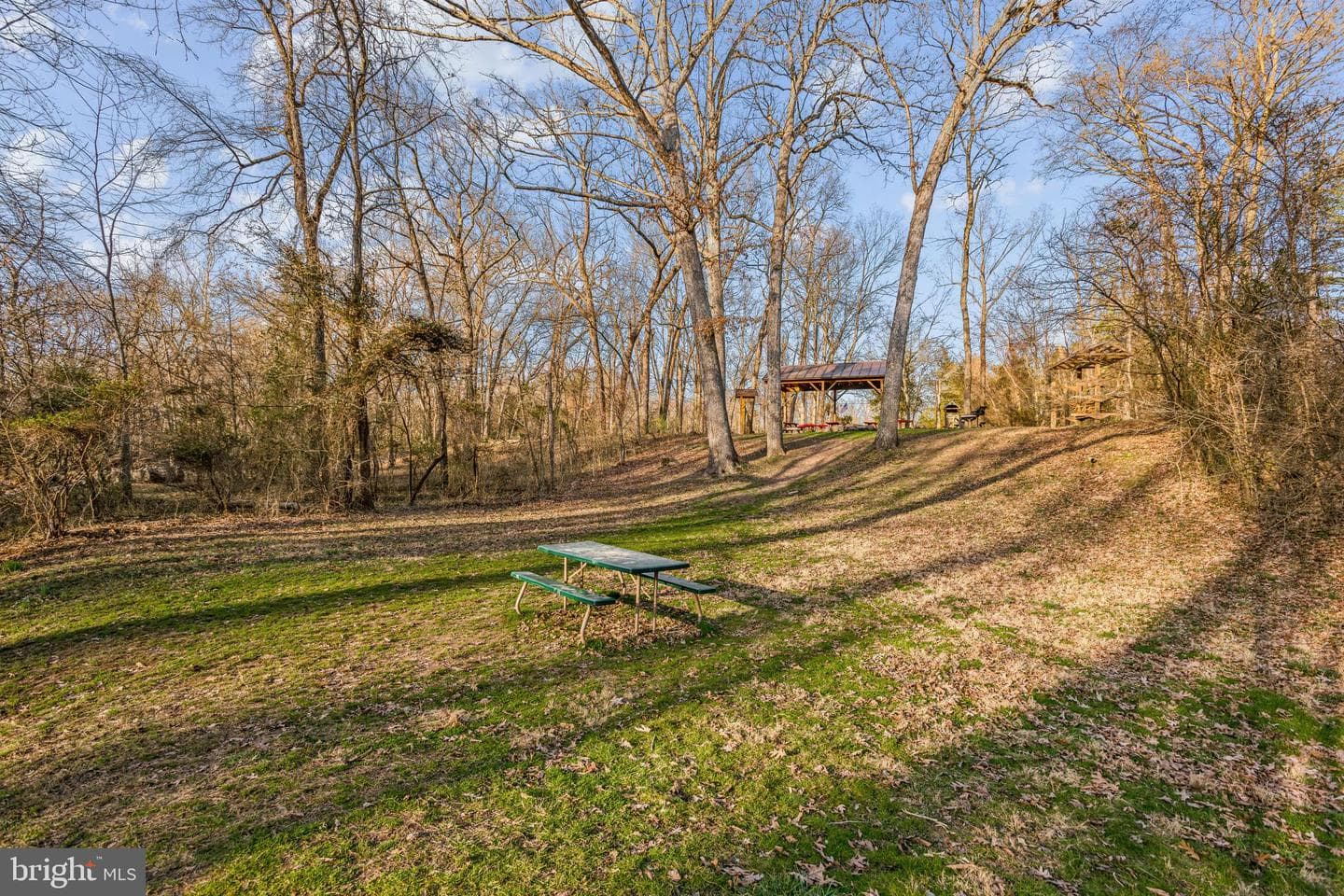 45432 Mallard Street photo 38