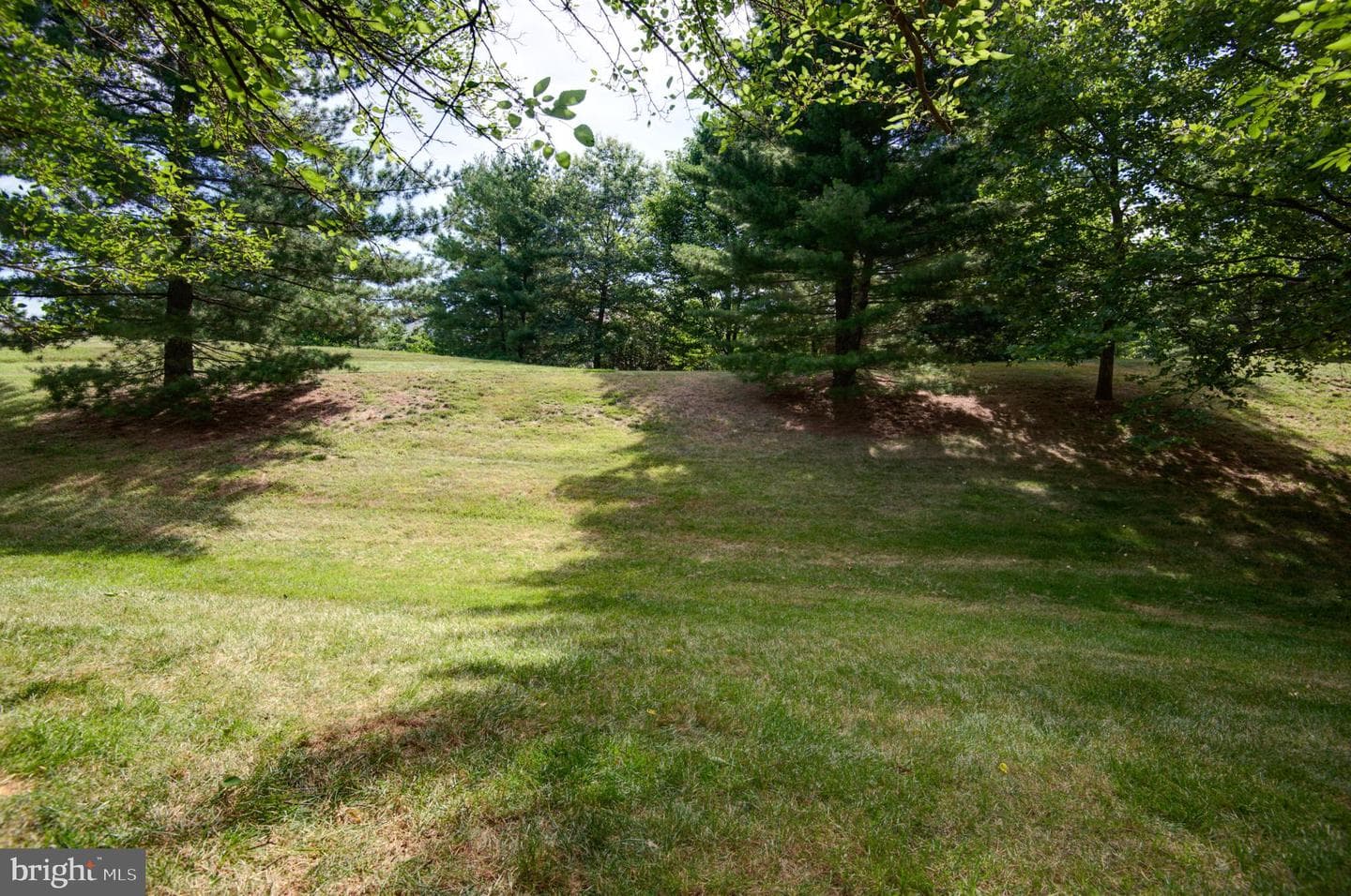 20742 Apollo Terrace photo 50