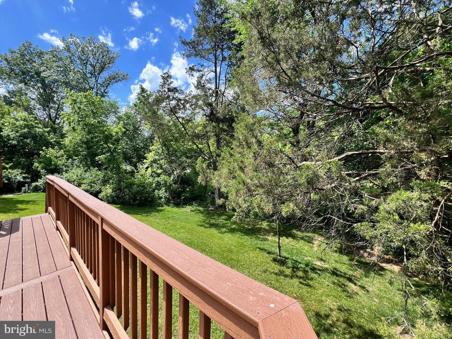 43290 Swampfox Court photo 6