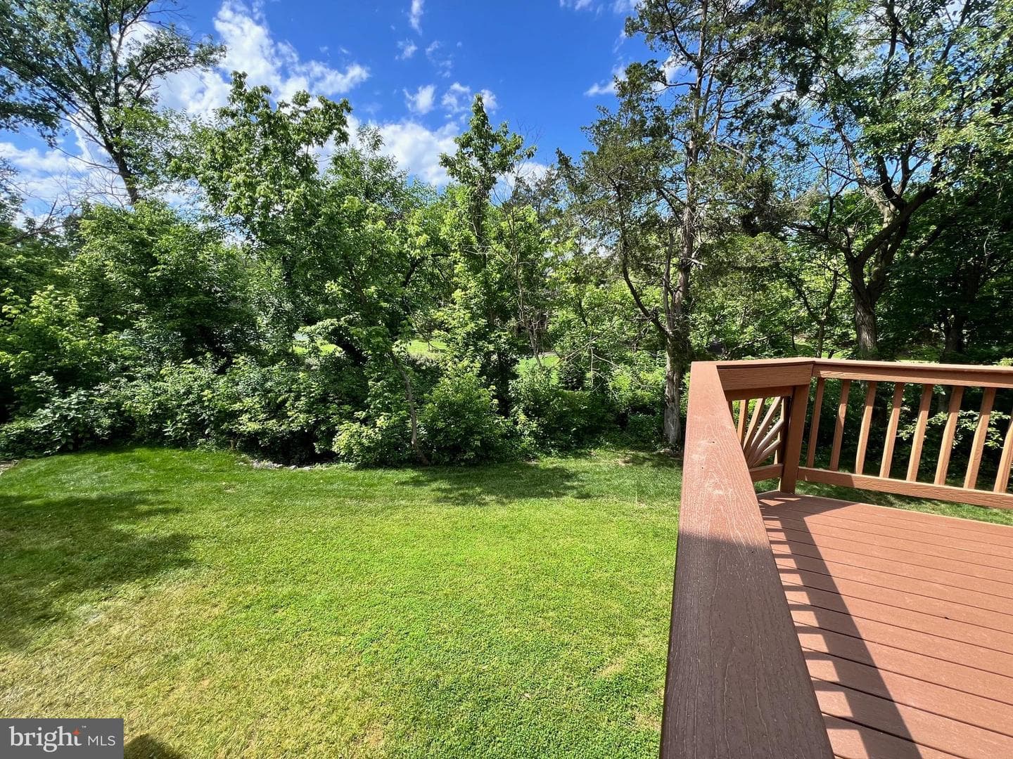 43290 Swampfox Court photo 7