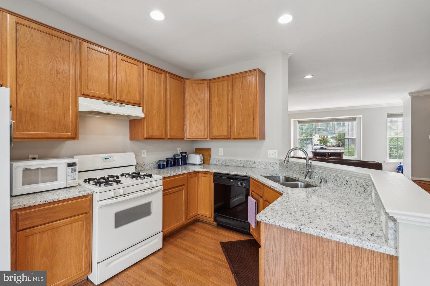 46802 Vermont Maple Terrace photo 11