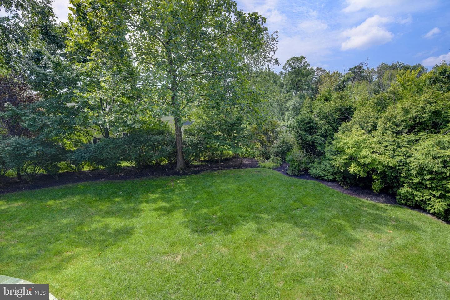 43241 Katie Leigh Court photo 54