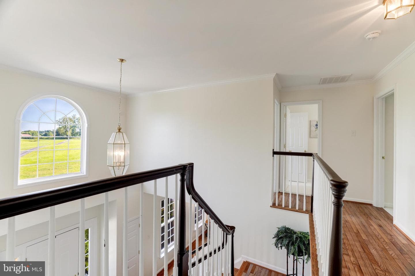38572 Triticum Lane photo 21