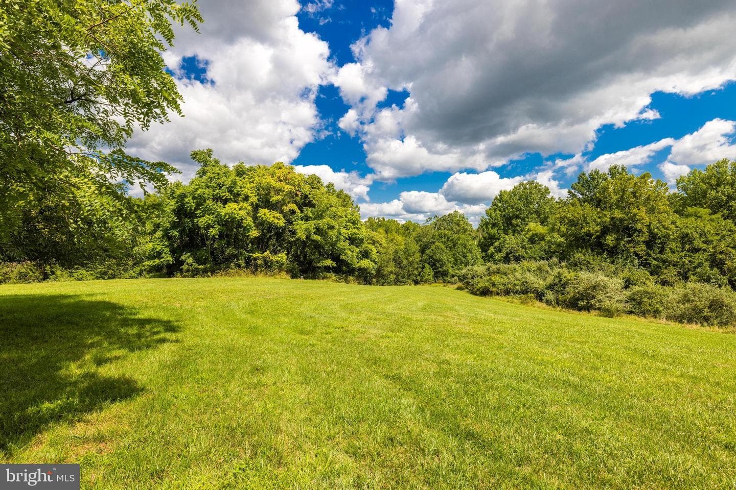 38572 Triticum Lane photo 36