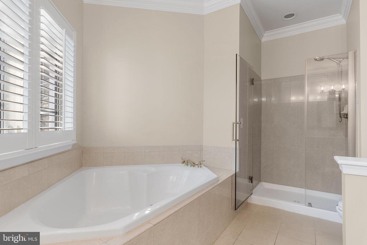 538 Gentlewood Square photo 61