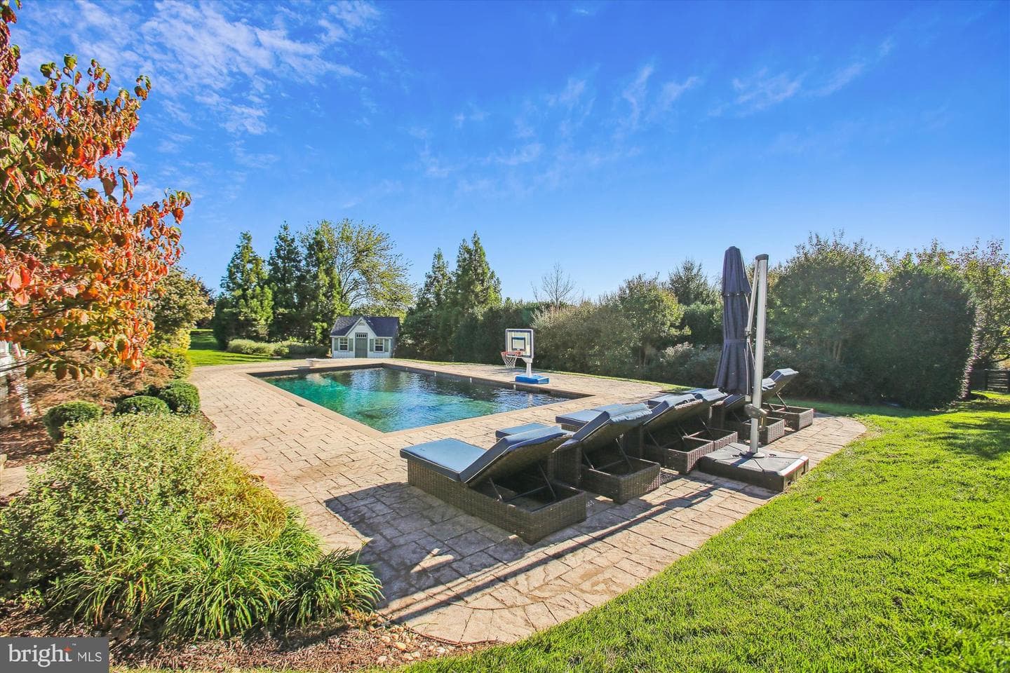 20353 Tanager Place photo 47