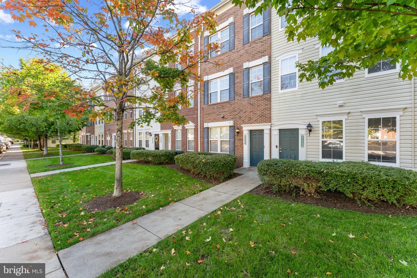 42451 Hollyhock Terrace photo 16