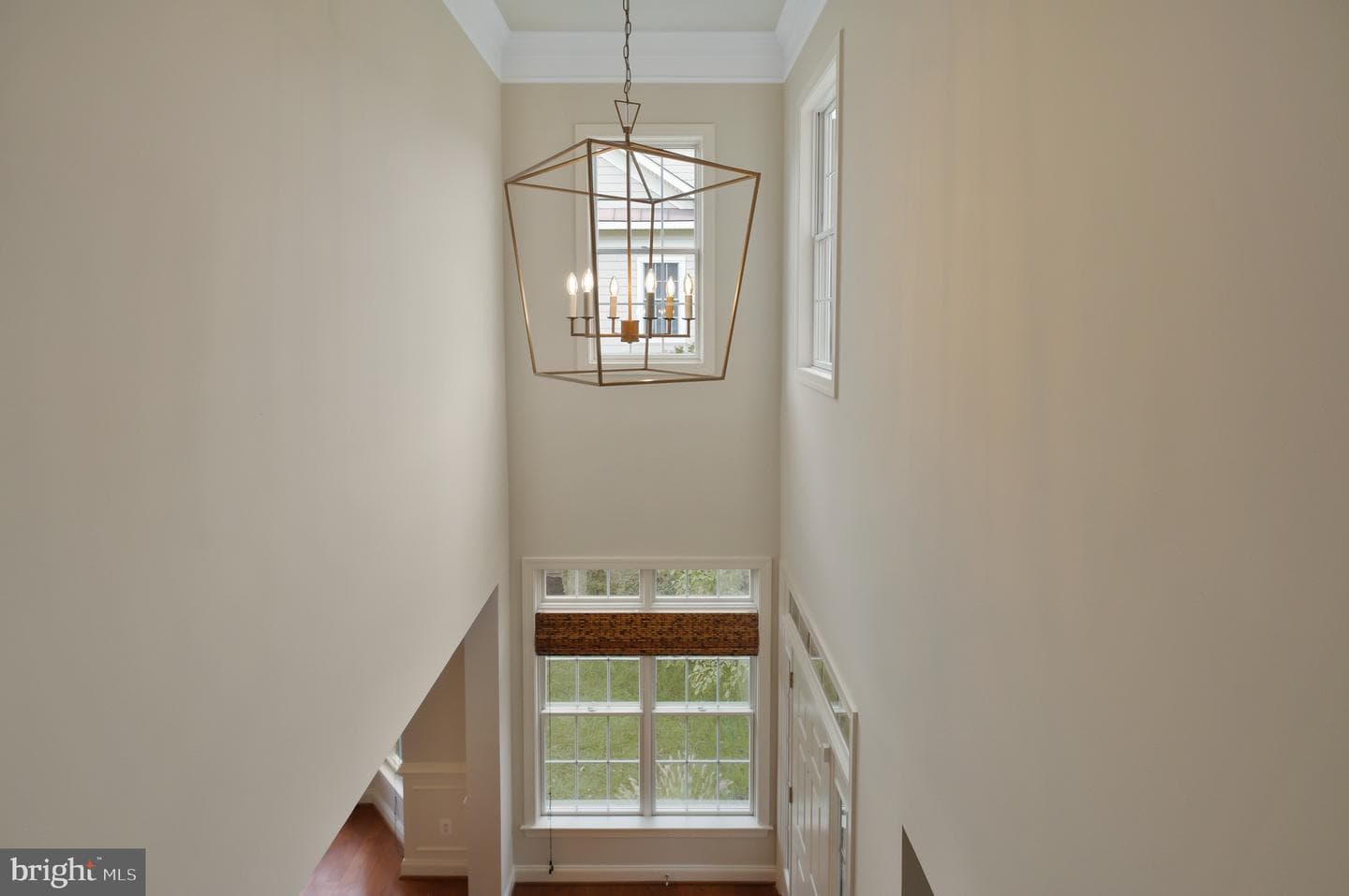 18983 Coreopsis Terrace photo 29
