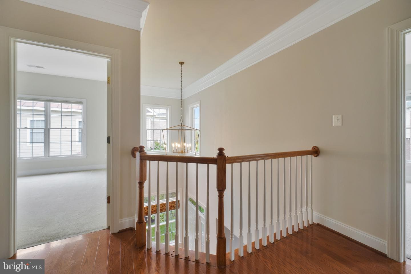 18983 Coreopsis Terrace photo 30