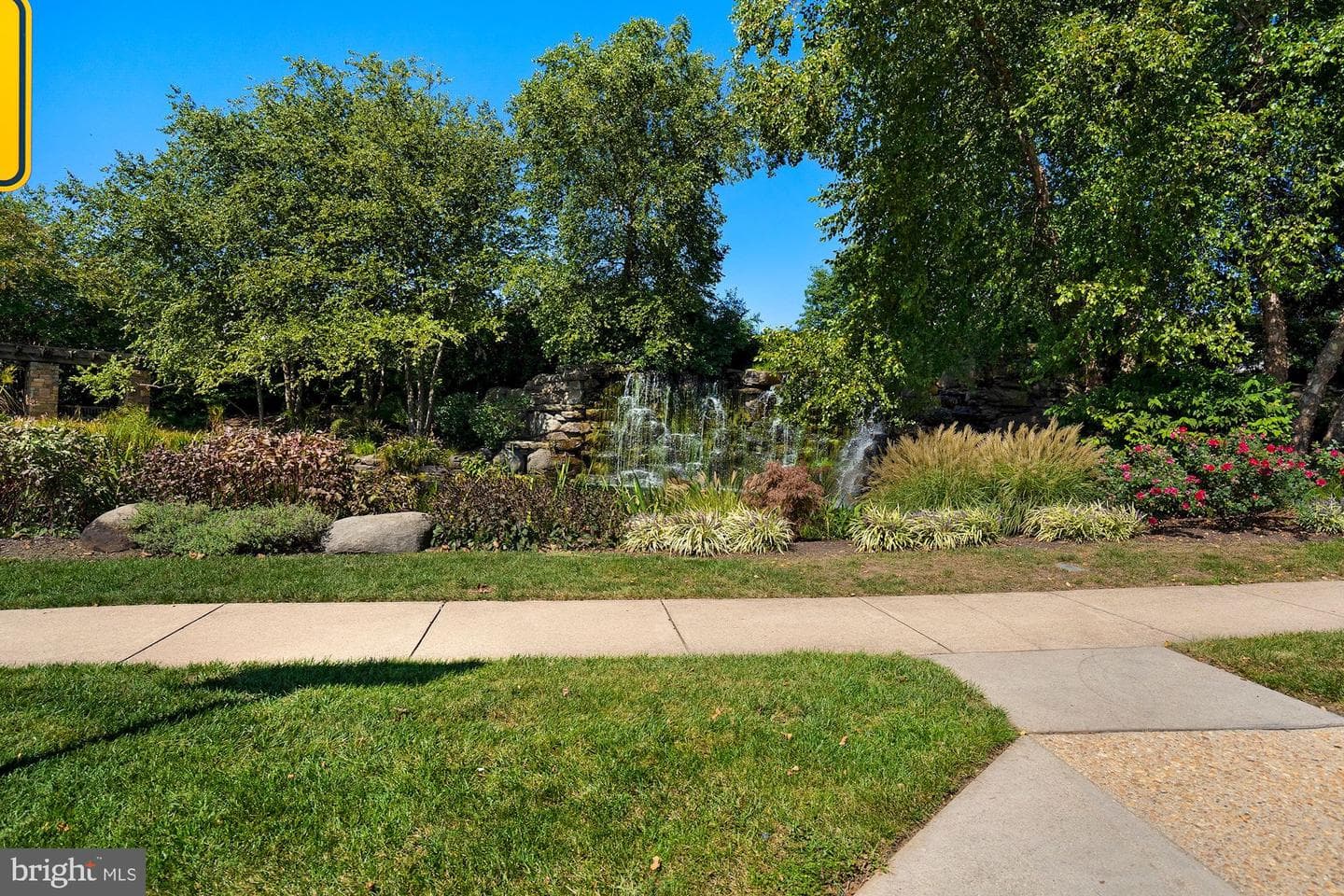 18983 Coreopsis Terrace photo 65