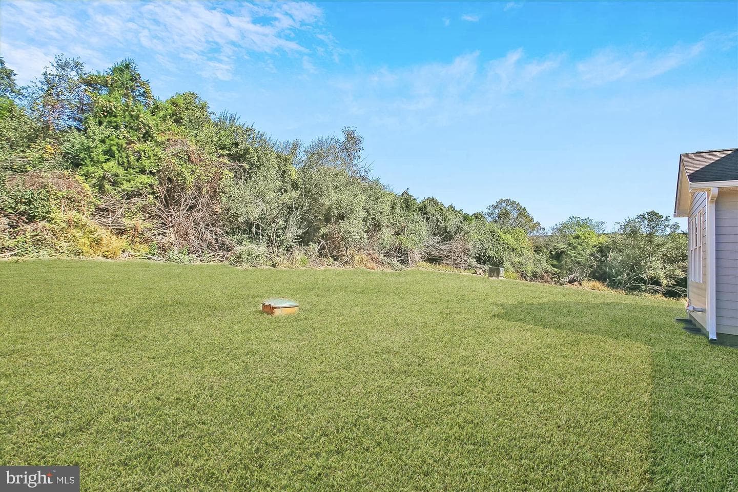 12934 Taylorstown Road photo 8