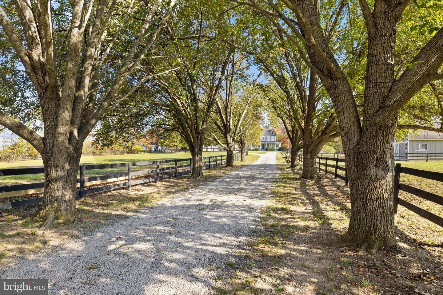 36643 Leith Lane photo 6