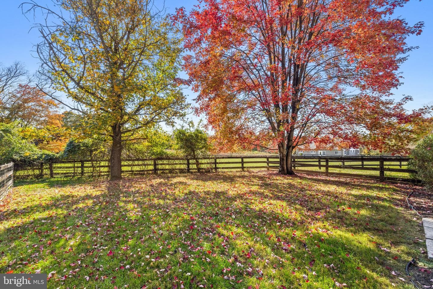 36643 Leith Lane photo 65