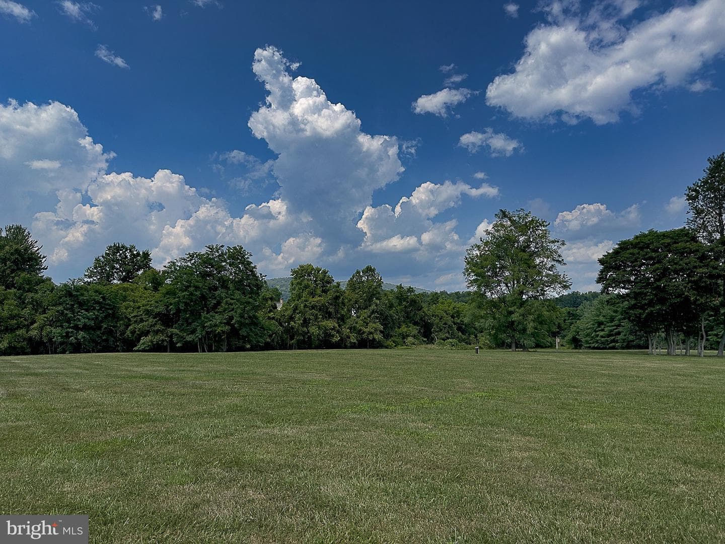 15514 Hillsboro Road photo 79