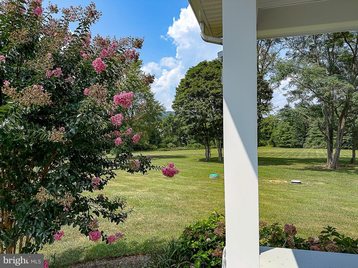 15514 Hillsboro Road photo 84