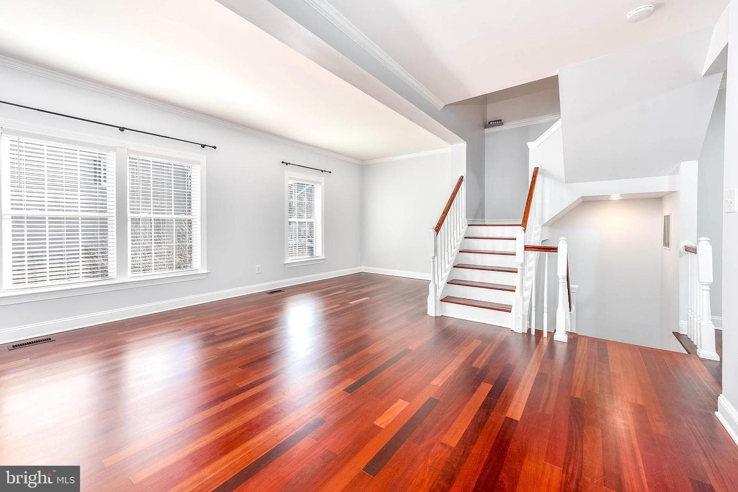 20419 Doncaster Terrace photo 21