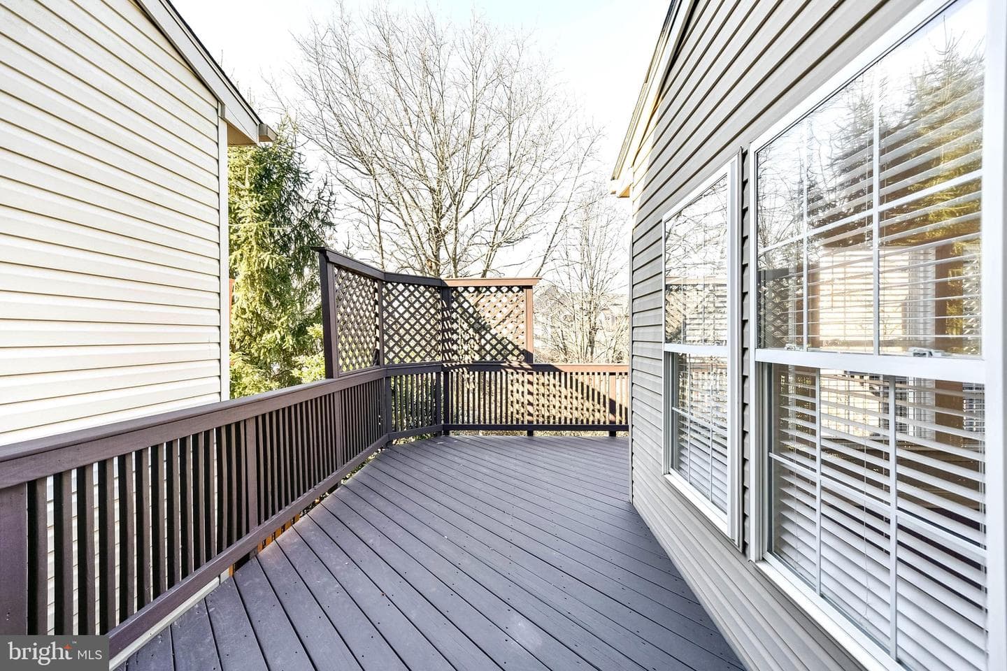 20419 Doncaster Terrace photo 36