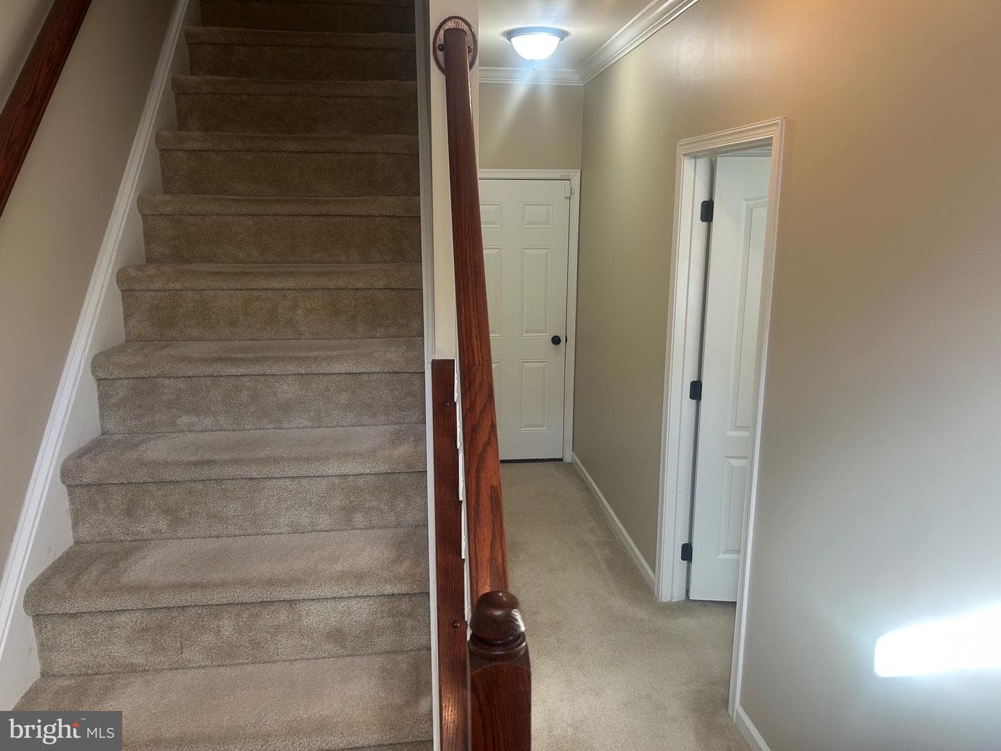 42868 Pamplin Terrace photo 10