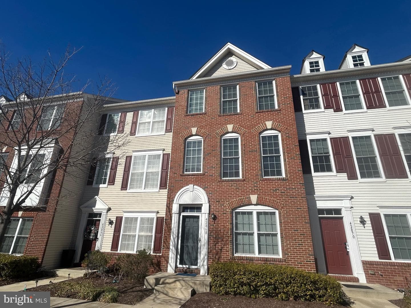 42868 Pamplin Terrace photo 3