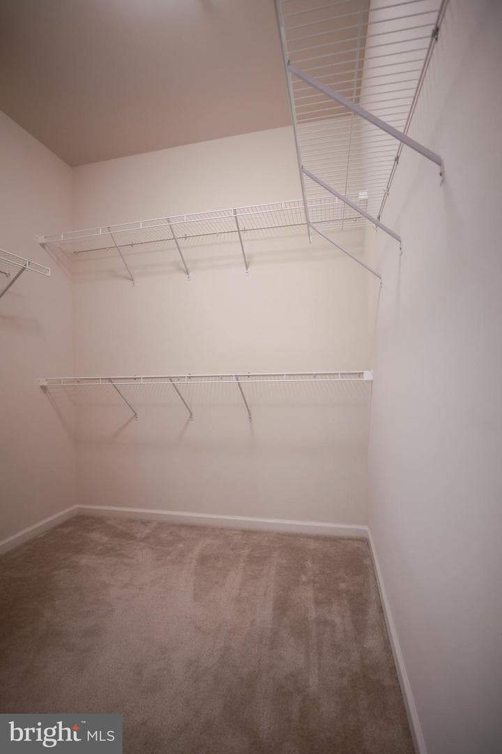 23508 Belvoir Woods Terrace photo 17