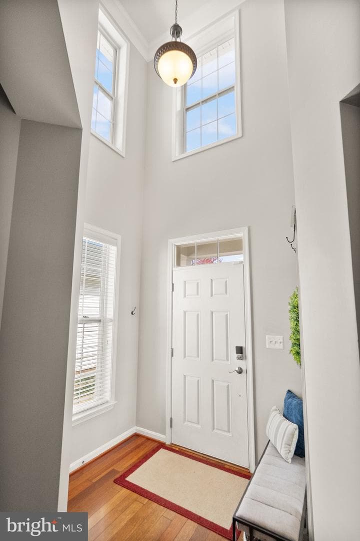 24973 Devonian Drive photo 4