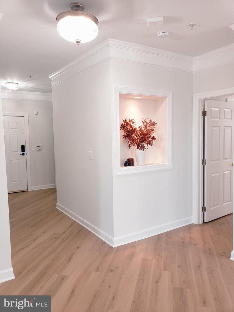 44485 Chamberlain Terrace #201 photo 20
