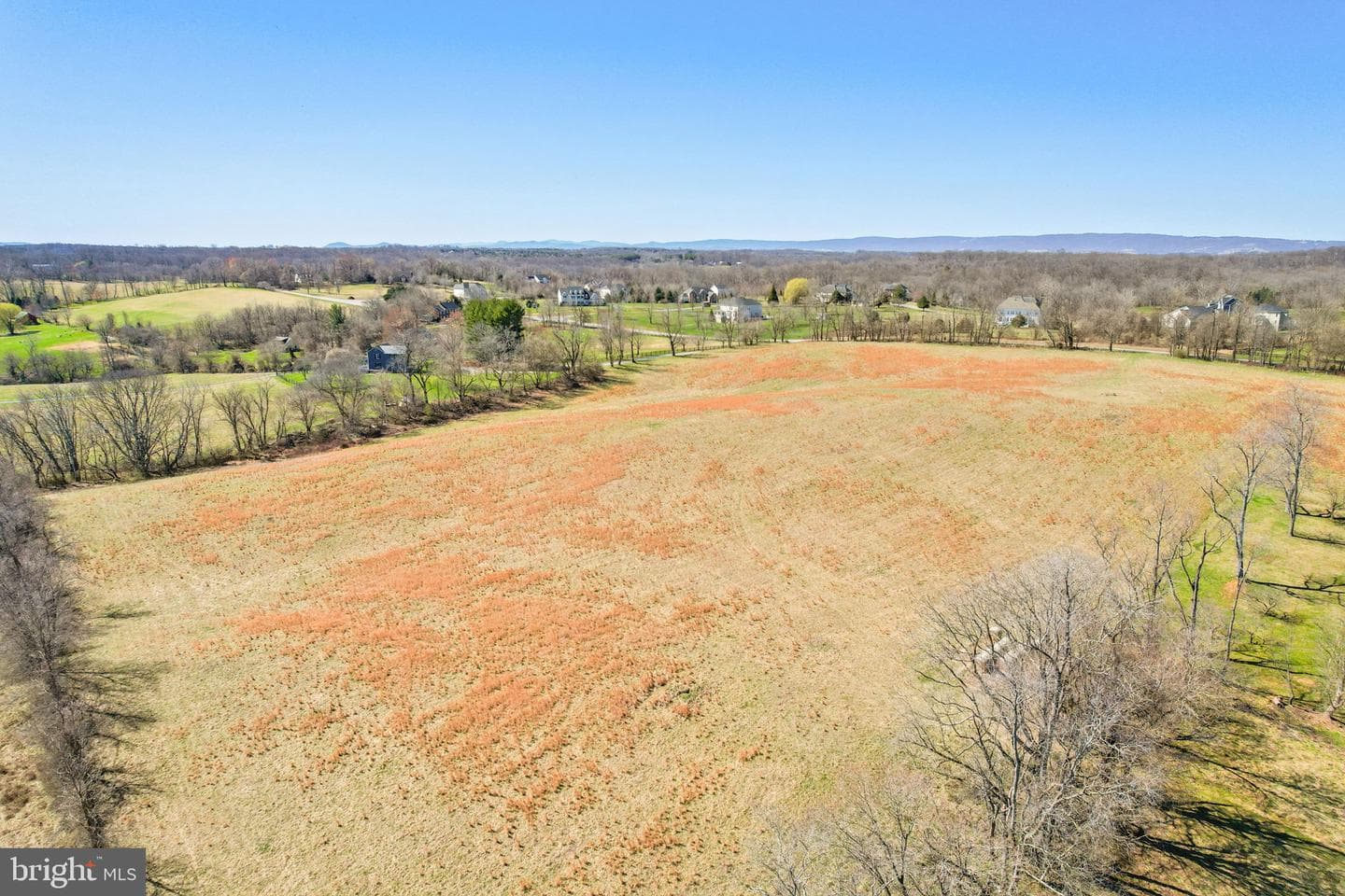37961 Forest Mills photo 100