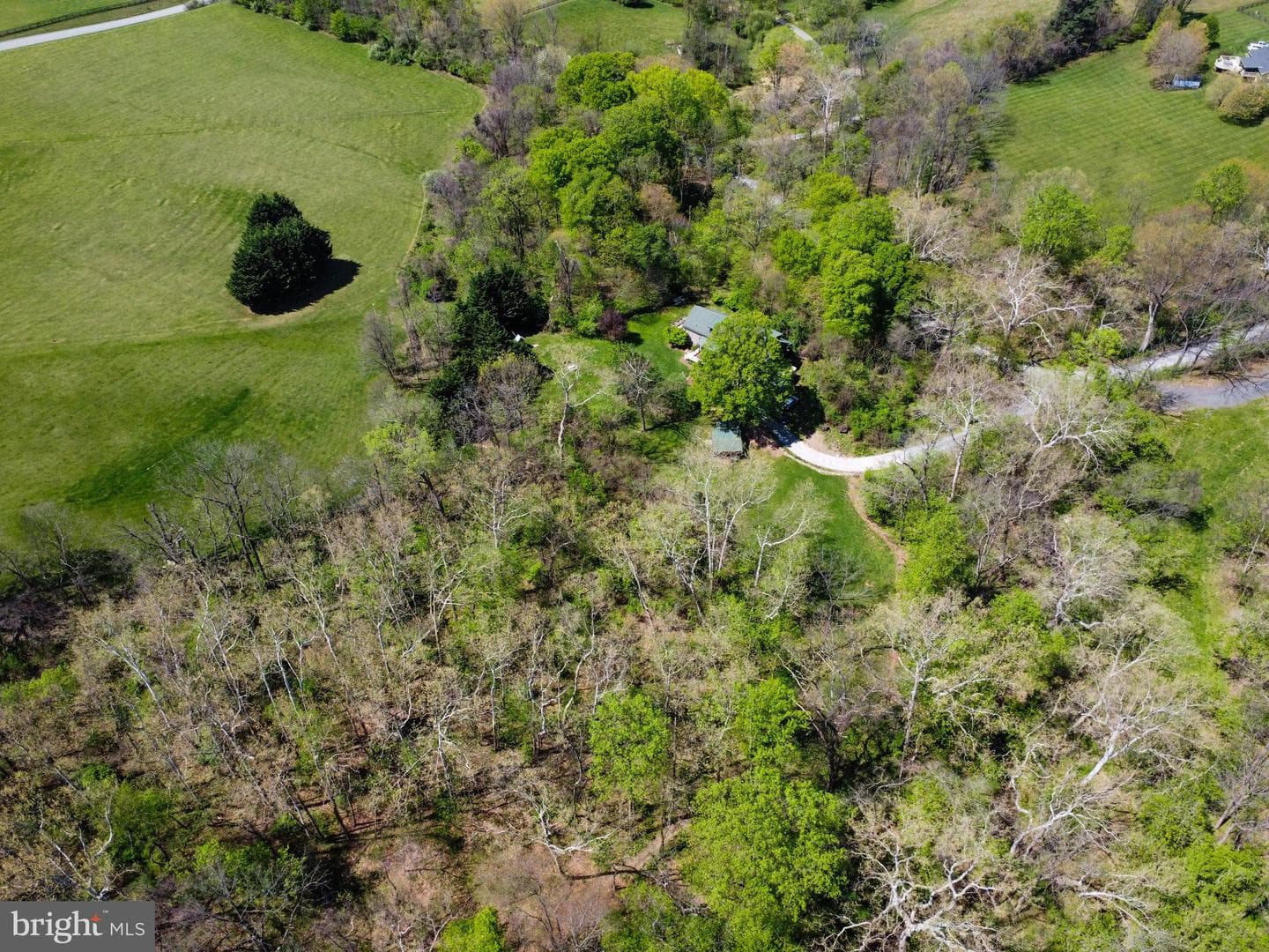 11272 Georges Mill Road photo 63