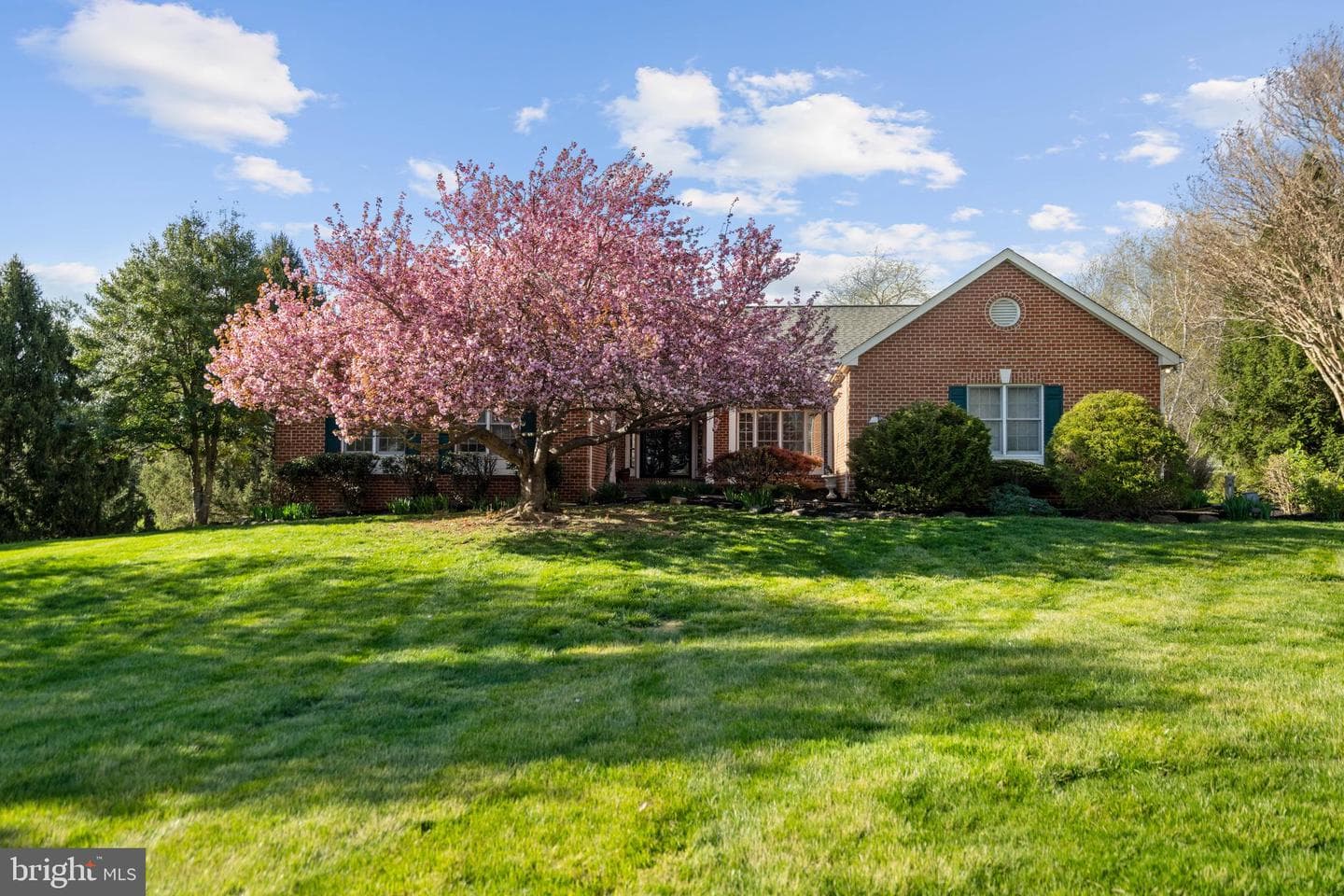 17001 Lakewood Court photo 4