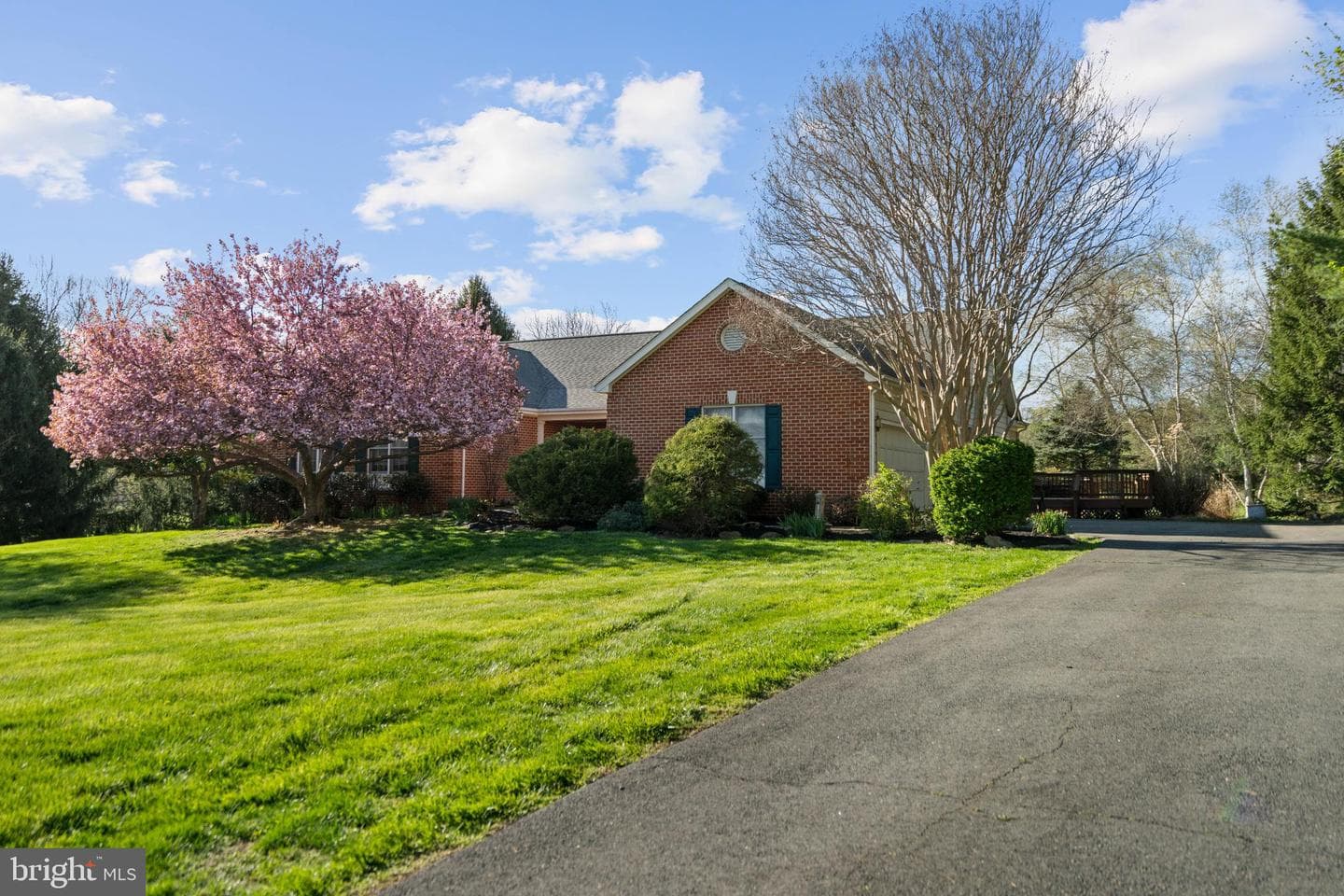 17001 Lakewood Court photo 41