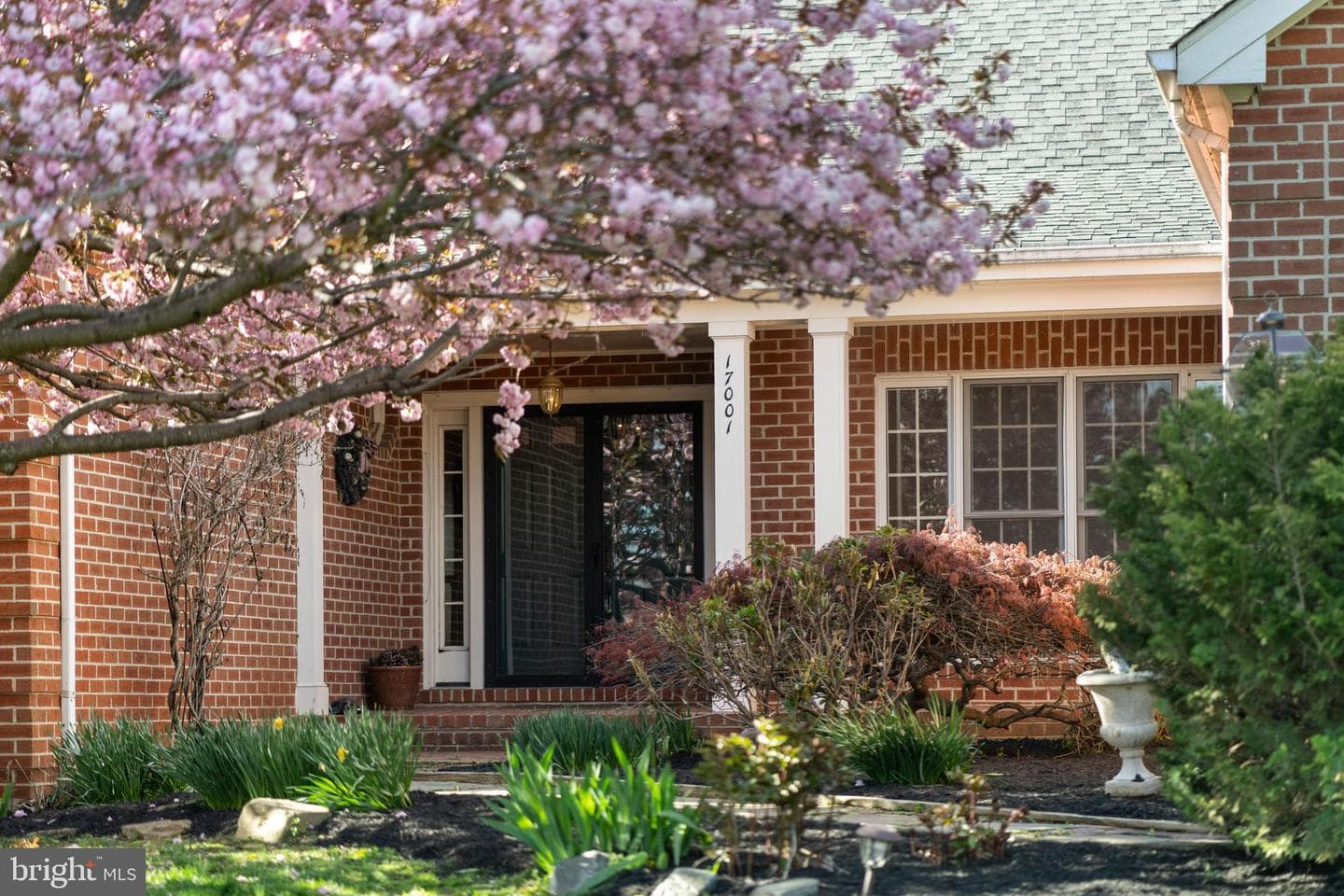 17001 Lakewood Court photo 5