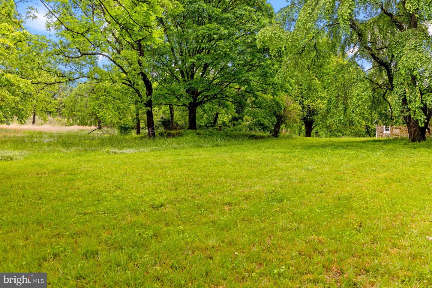 16158 Clarkes Gap Road photo 109