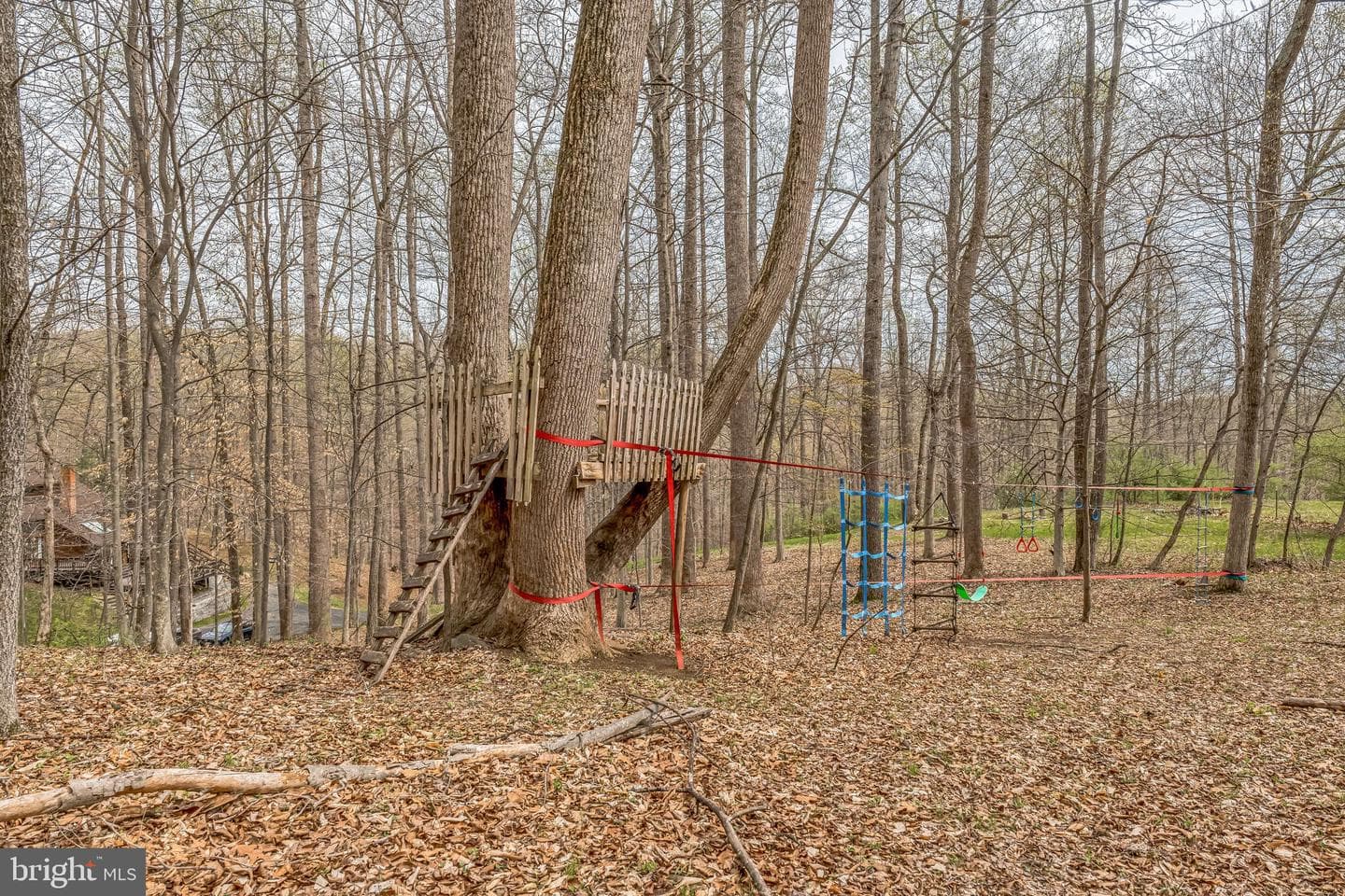 38528 Lime Kiln Road photo 46