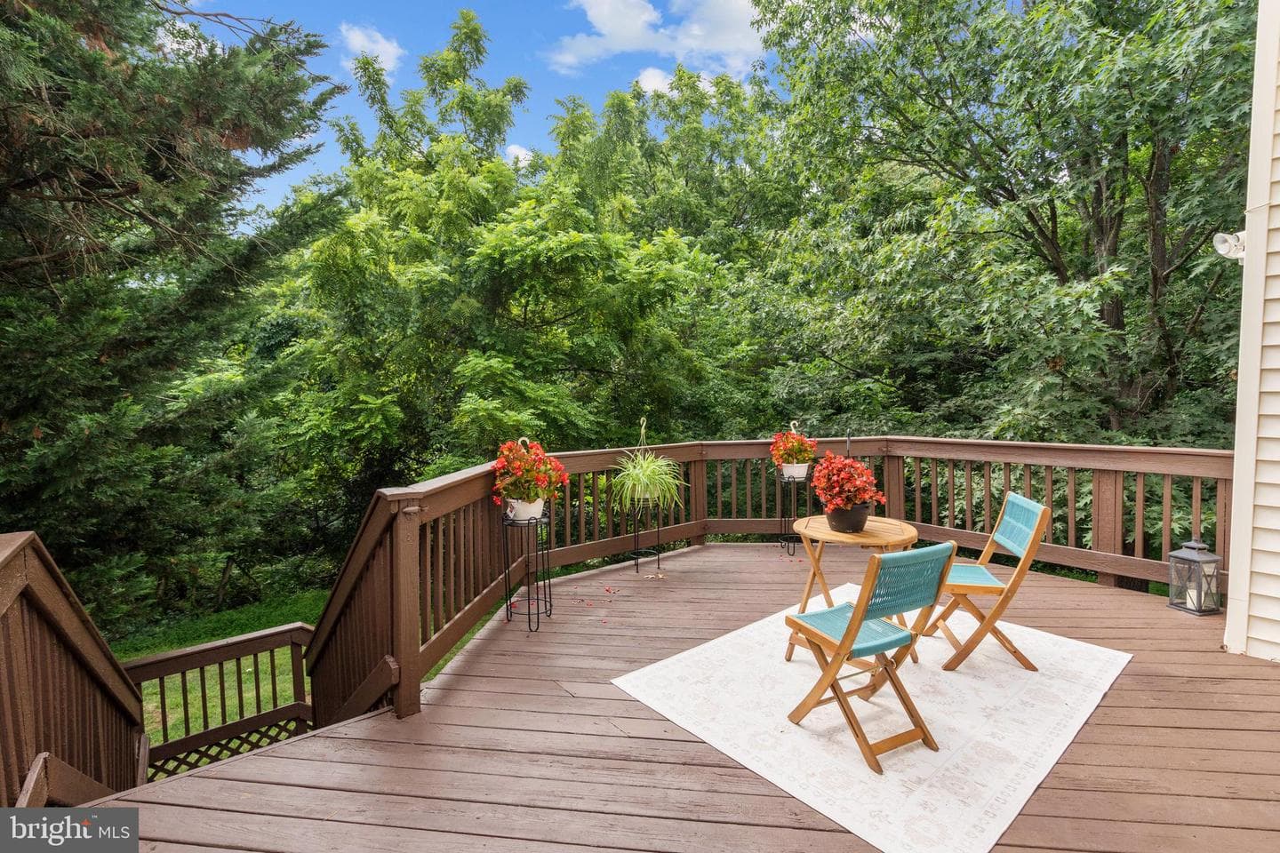 43774 Laburnum Square photo 2