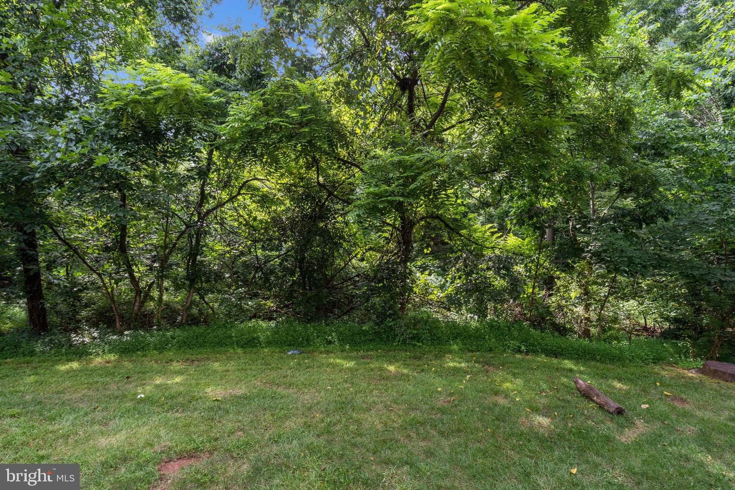 43774 Laburnum Square photo 34