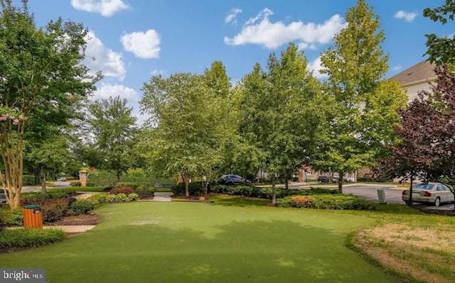 42210 Terrazzo Terrace photo 35