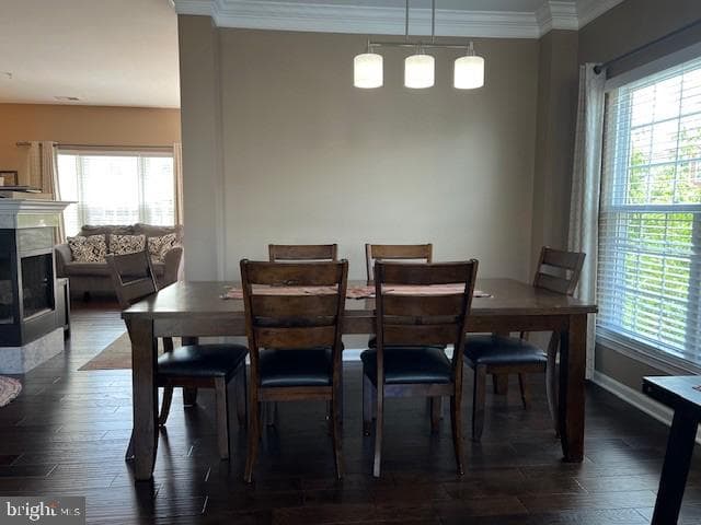 42210 Terrazzo Terrace photo 9