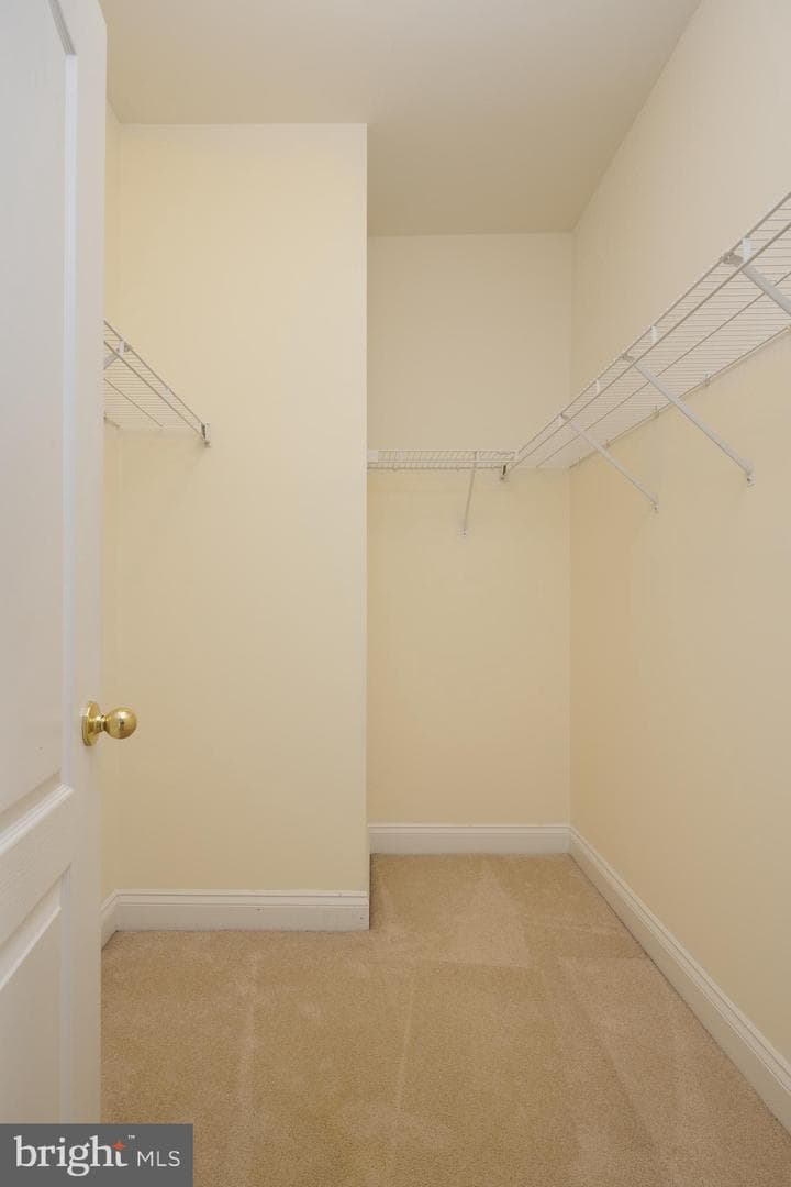 43800 Ballybunion Terrace photo 23