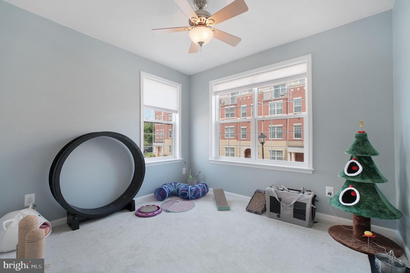 42587 Hollyhock Terrace photo 18