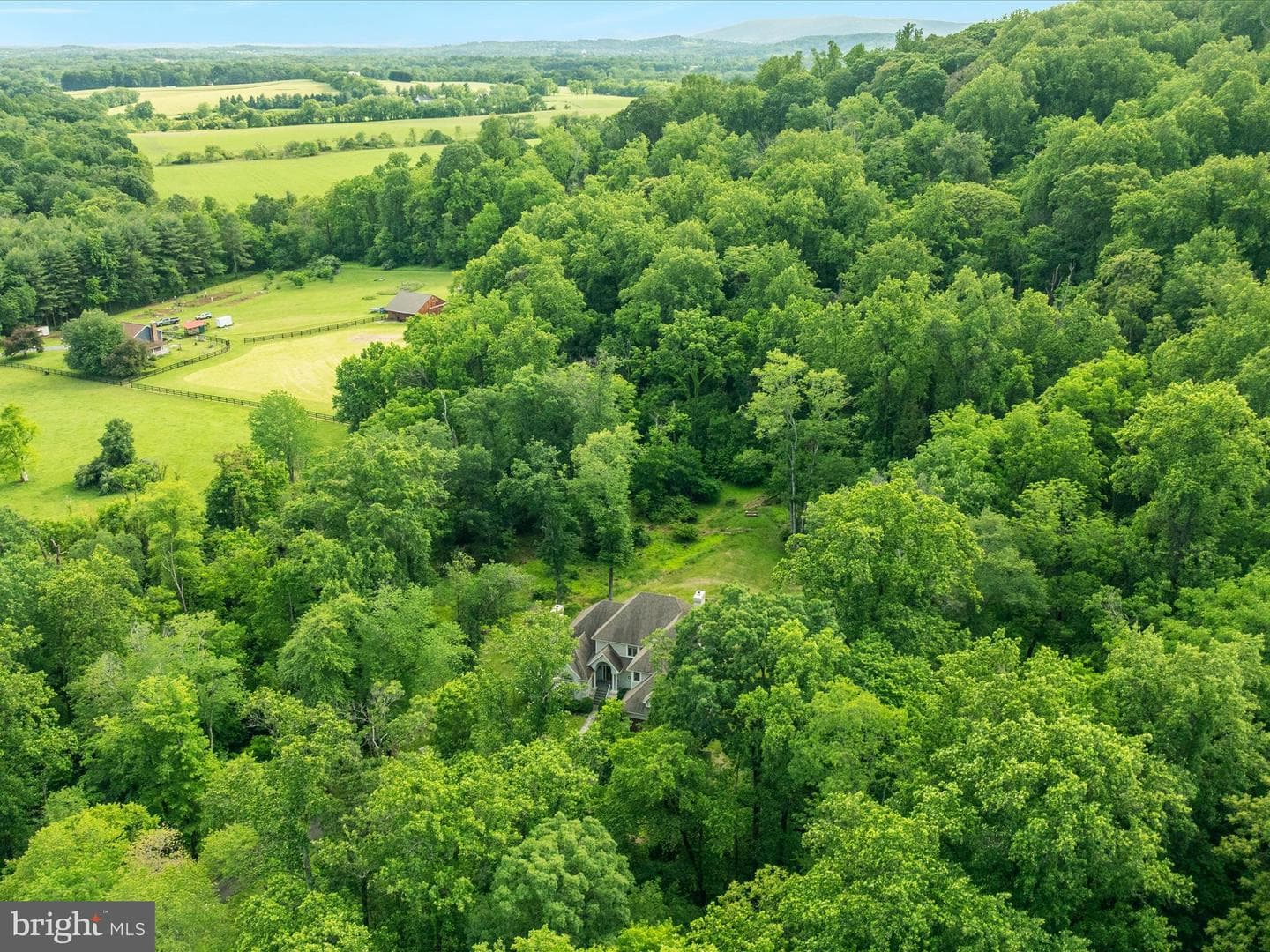 16205 Mountain Ridge photo 49