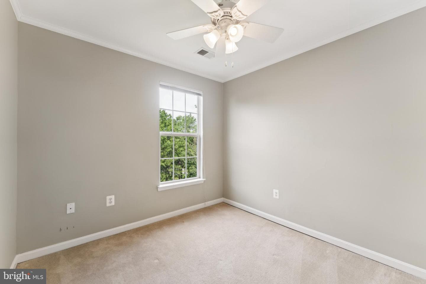 35934 Newberry Crossing Place photo 13