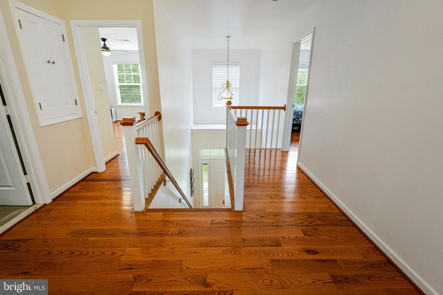 26222 Ocala Circle photo 48
