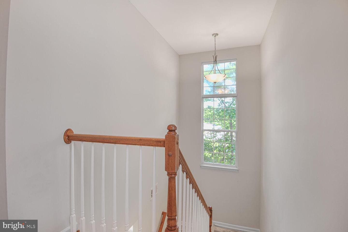 43415 Madison Renee Terrace #120 photo 18