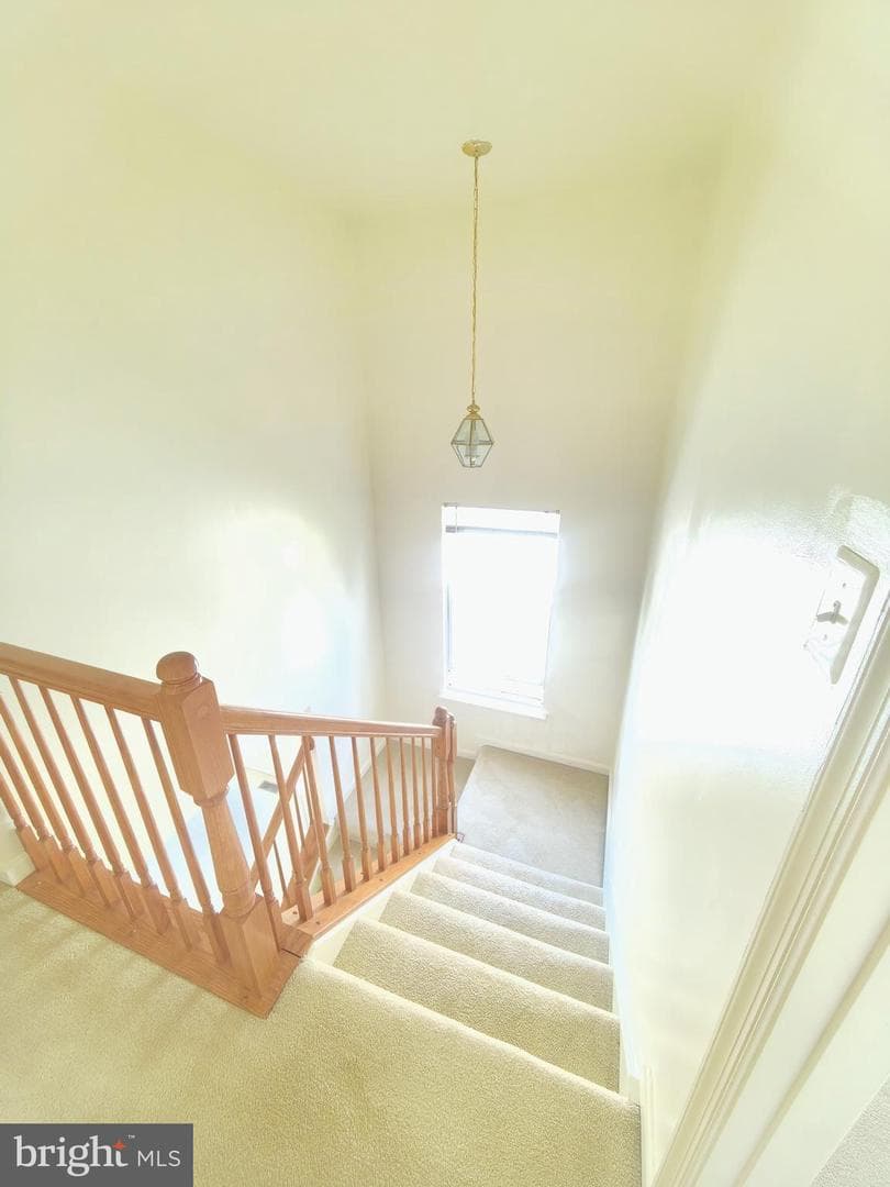 35547 Sarasota Street photo 11