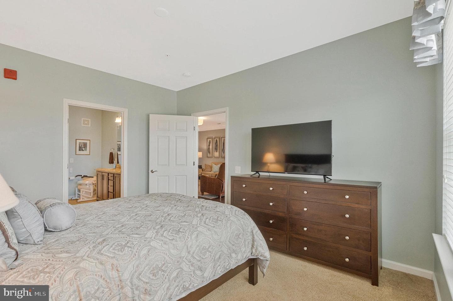 20620 Hope Spring Terrace #401 photo 19
