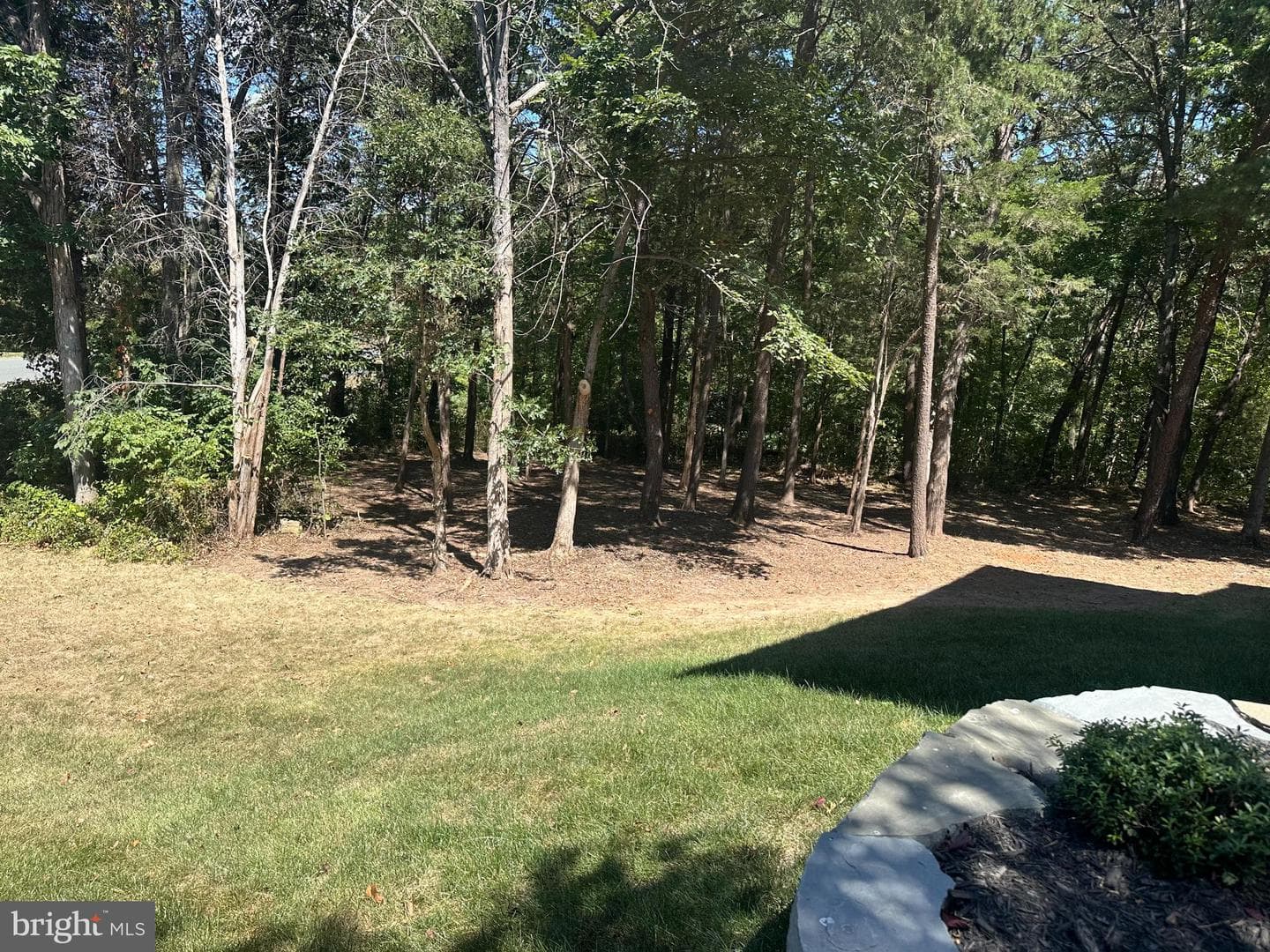 42346 Ponderosa Drive photo 81